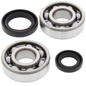 Kit garnituri si simeringuri ambielaj All Balls Racing CB24-1003