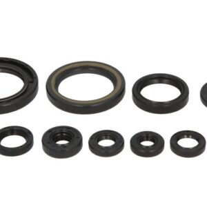 Kit complet simeringuri motor HONDA CRF 250R/X WINDEROSA 2004-2009