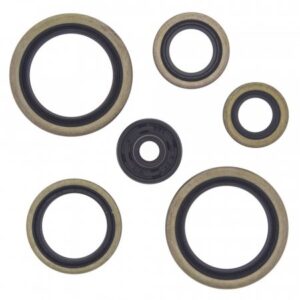 Engine Oil Seal Kit WINDEROSA pentru KTM EXC (XC) 125 (1998-2006)