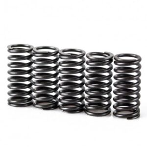Kit arcuri de ambreiaj MOTION STUFF pentru KTM EXC (XC) 125 (1998-2005)